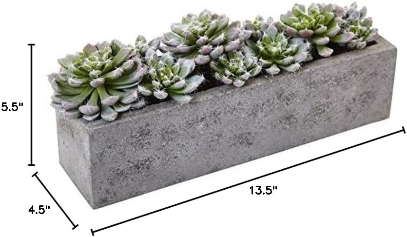 Nearly Natural Succulent 5-1/2inH Plastic Garden With Textured Concrete Planter, 5-1/2inH x 13-1/2inW x 4-1/2inD, Green