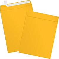 LUX Open-End 9in x 12in Envelopes, Peel & Press Closure