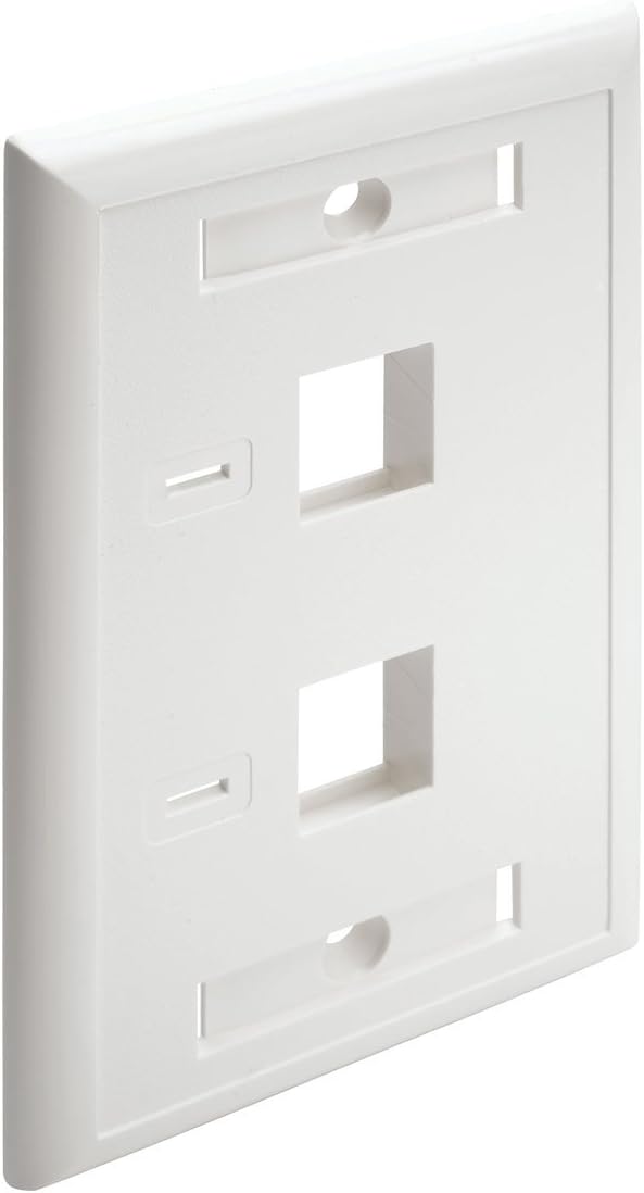 Tripp Lite Dual Outlet RJ45 Universal Keystone Face Plate / Wall Plate White, 2-Port(N042-001-WH)