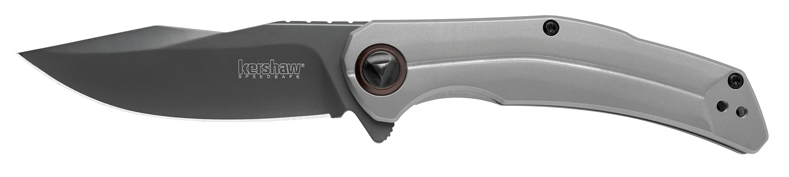 Kershaw Believer Assisted Opening Knife Stainless Steel (3.25" Gray PVD) 2070