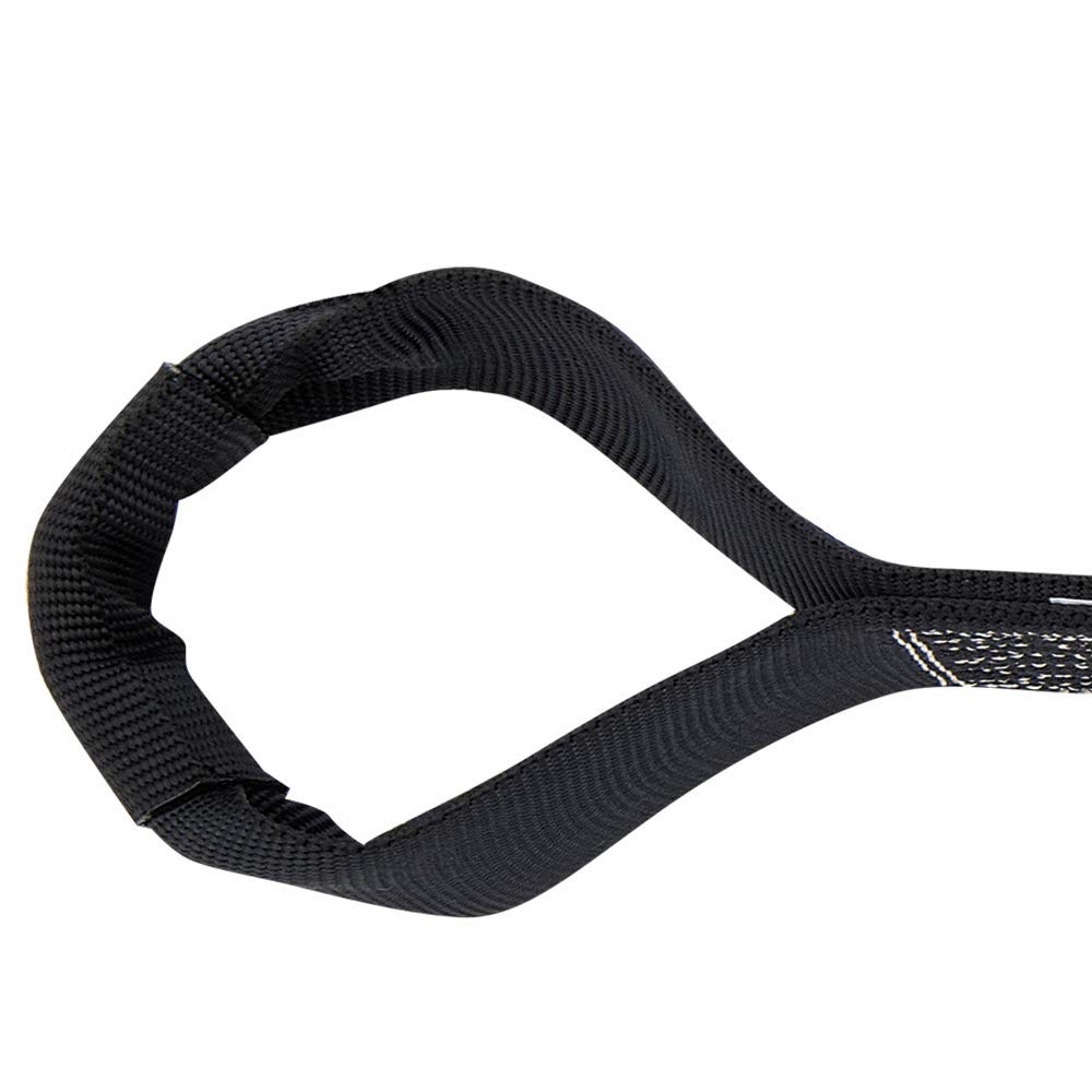 Peakworks Abrasion Resistant, Polyester Webbing, 6 ft. Residential Anchor Sling, Black, V8209106