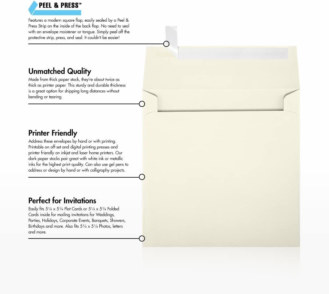 LUX #10 Invoice Envelopes, Double-Window, Peel & Press Closure, White, Pack Of 500