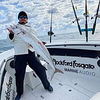 TIGRESS Triple Aluminum Kite Rod Holder - Polished