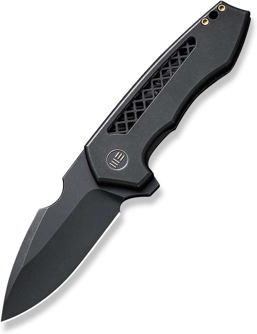 WE Harpen Flipper Knife WE23019-1 Black Titanium Handle