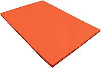 Pacon PAC103002 Tru-Ray Construction Paper, 9 x 12 Inches, Orange, 50 Sheets (103002) 50 Count (Pack of 1)