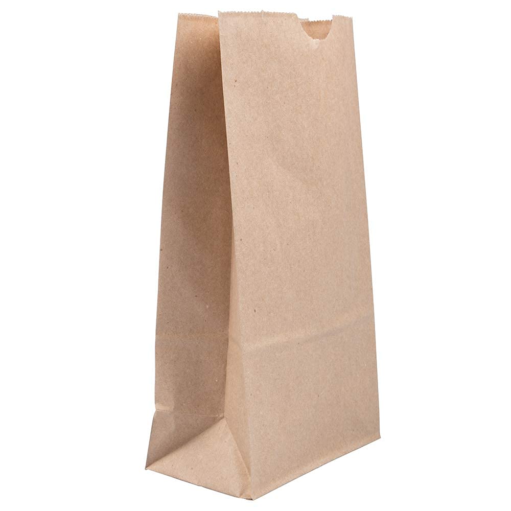 JAM PAPER 100% Recycled Kraft Snack/Lunch Bags - 25/Pack