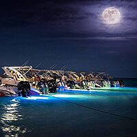 Lumitec Lighting 101511, LED Underwater Light, SeaBlaze Quattro Underwater Light, Dual Color White/Blue