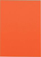 Pacon PAC103002 Tru-Ray Construction Paper, 9 x 12 Inches, Orange, 50 Sheets (103002) 50 Count (Pack of 1)
