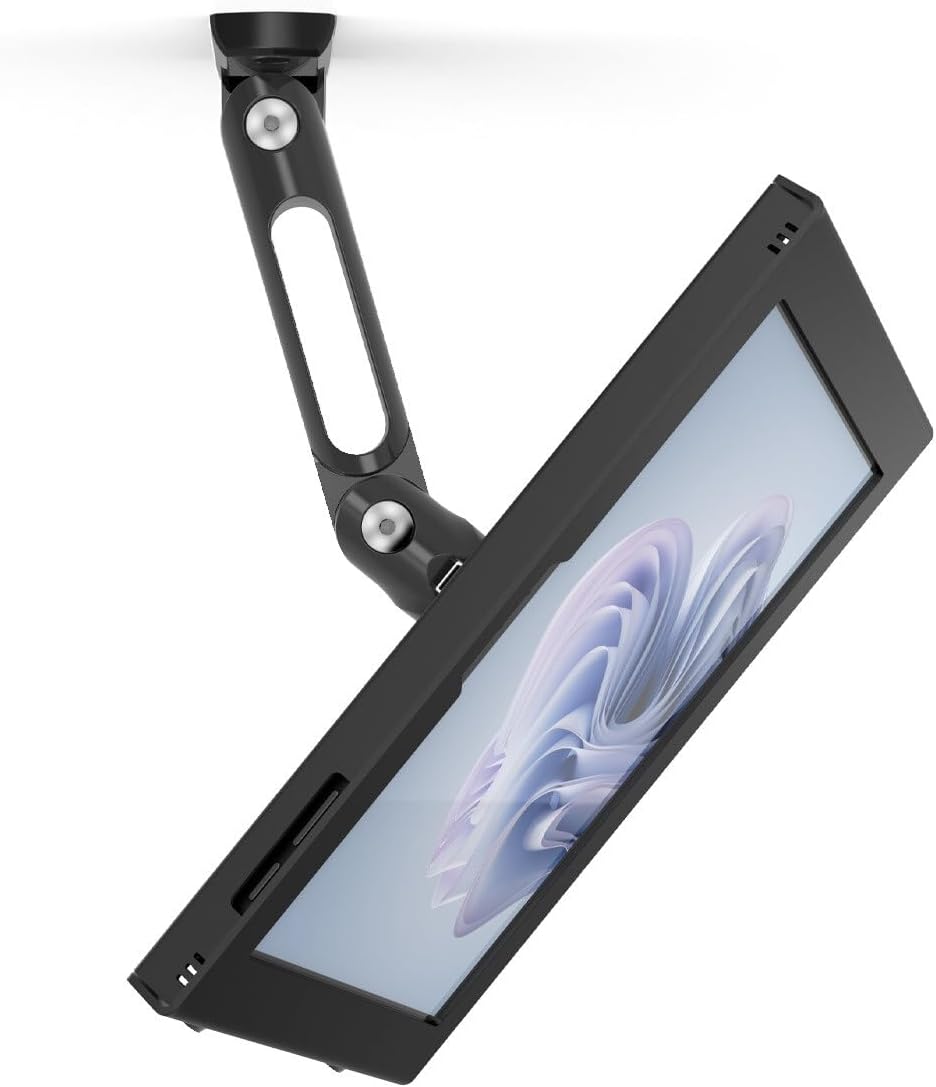 COMPULOCKS Apex Enclosure Swing Wall Mount Black for Surface