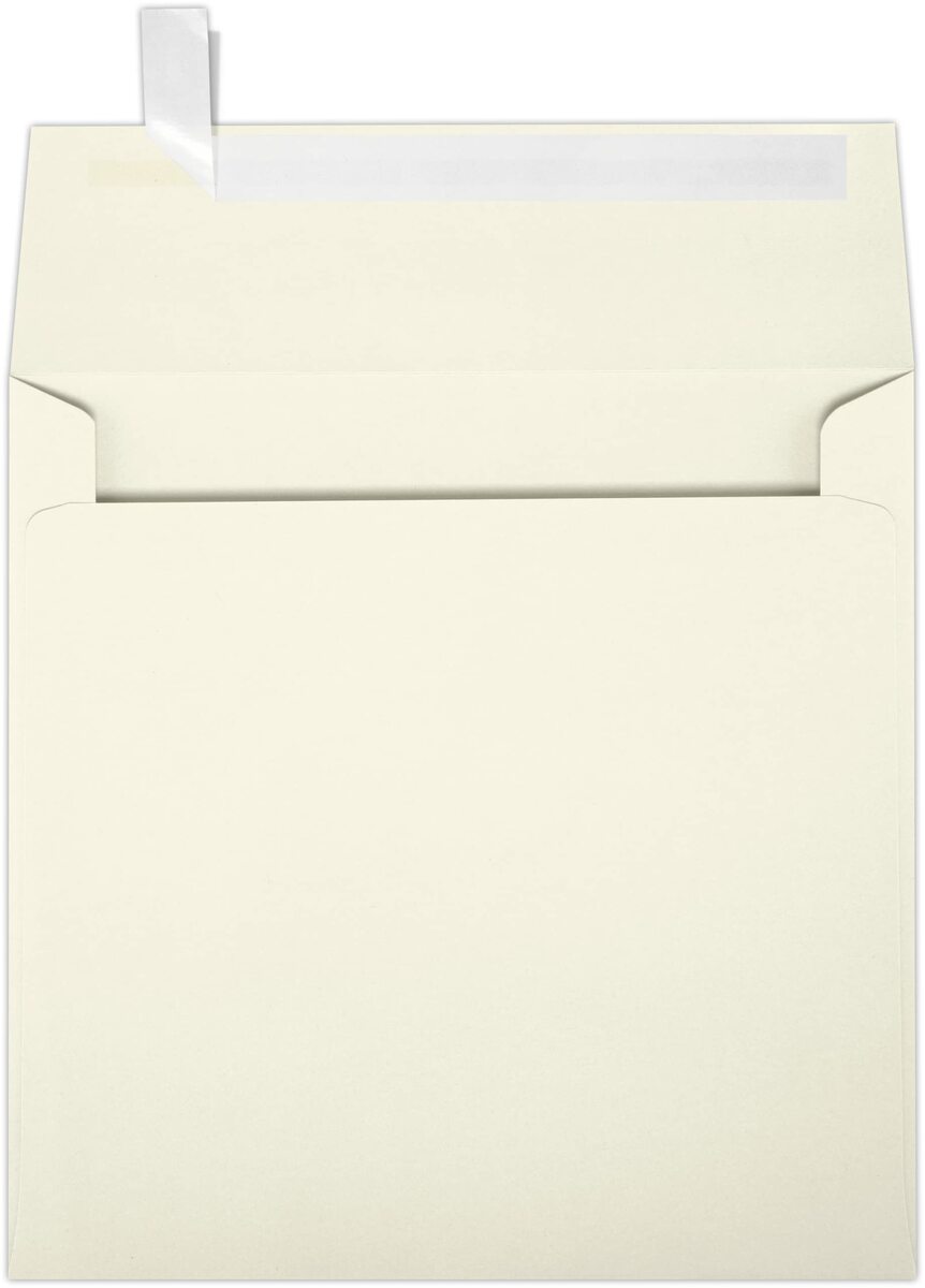 LUX #10 Invoice Envelopes, Double-Window, Peel & Press Closure, White, Pack Of 500