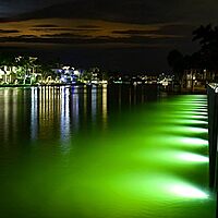 Lumitec Mantis Underwater Dock Lighting System - RGBW Full-Color