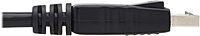 Tripp Lite DisplayPort to DisplayPort Cable with Latches (M/M)