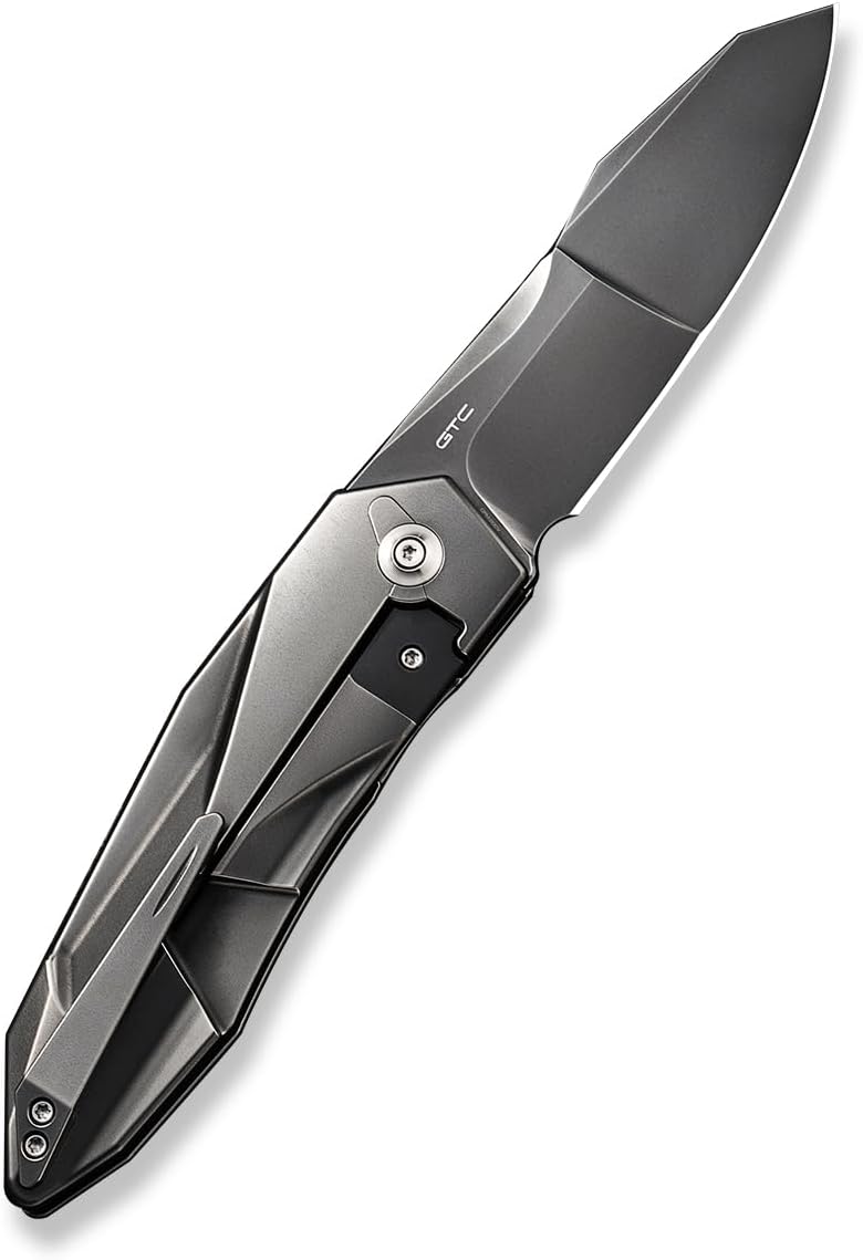 WE Knives Solid 22028-6 Frame Lock Gray Titanium Gray CPM-20CV Stainless Steel Pocket Knife