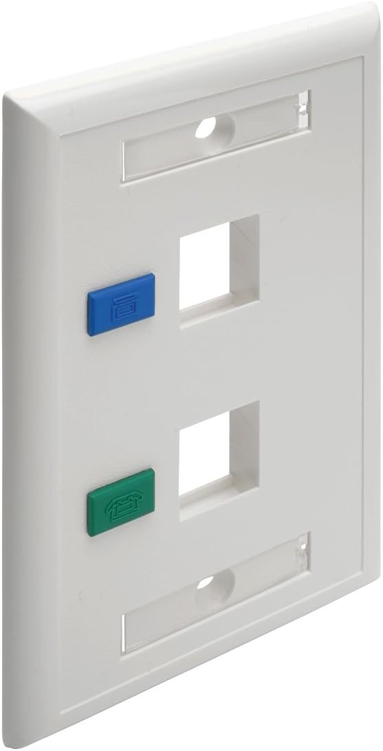 Tripp Lite Dual Outlet RJ45 Universal Keystone Face Plate / Wall Plate White, 2-Port(N042-001-WH)