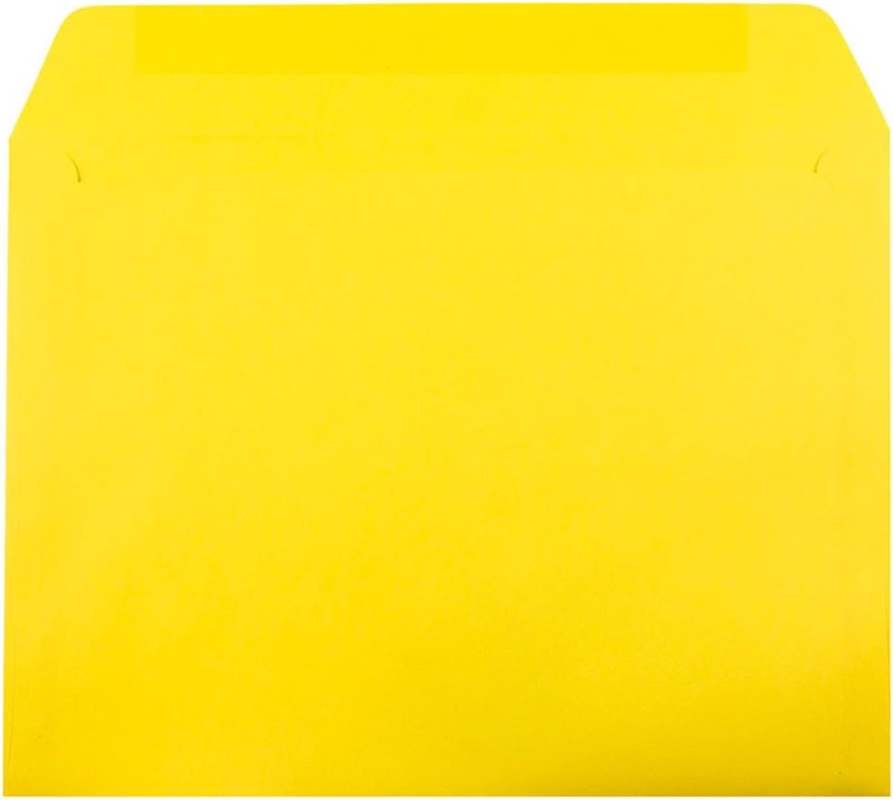 JAM Paper 9 x 12 Booklet Envelopes with Gummed Seal