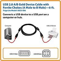 Tripp Lite USB 2.0 Hi-Speed A/B Cable with Ferrite Chokes (M/M)