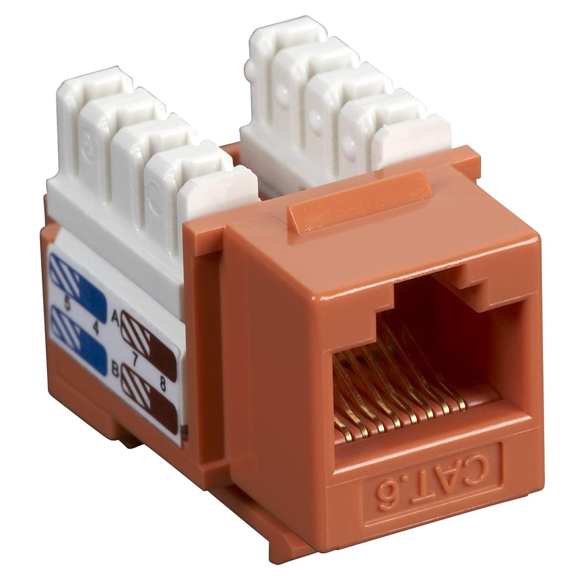 Black Box Network Services Orange Cat6 Keystone Jack Unshi