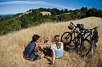 THIN LINE LOGO Patch BLU