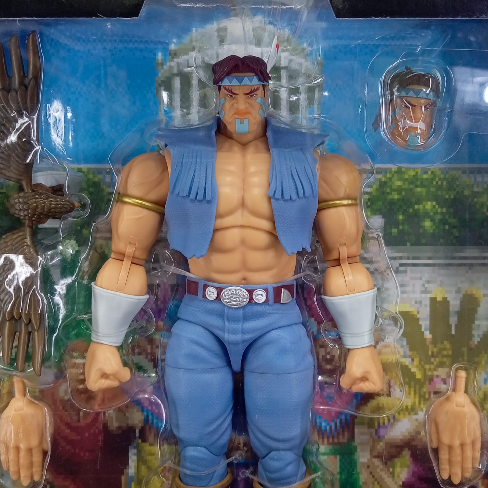 T. Hawk Street Fighter