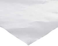 Warp Brothers 6x 20-C 6 Mil 20' x 100' Clear Poly Cover