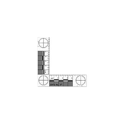 ABFO NO.2 Bitemark Scale