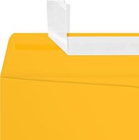 LUX Open-End 9in x 12in Envelopes, Peel & Press Closure