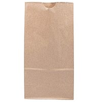 JAM PAPER 100% Recycled Kraft Snack/Lunch Bags - 25/Pack