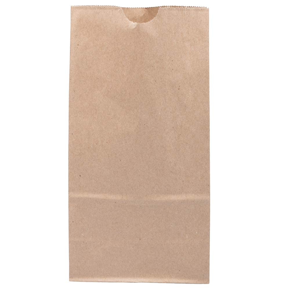 JAM PAPER 100% Recycled Kraft Snack/Lunch Bags - 25/Pack