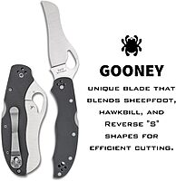Spyderco Byrd Gooney Lockback Folding Pocket Knife with 9Cr14MoV Stainless Steel Blade and Gray G-10 Handle - PlainEdge - BY24GPGY