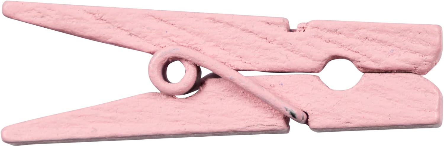 JAM PAPER Mailing Labels & Wood Clothing Pin Clips