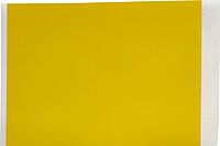 Brady All Weather Permanent Adhesive Vinyl Label Tape for M710 and BMP71 Printers - 2" x 50', Yellow. M7C-2000-595-YL