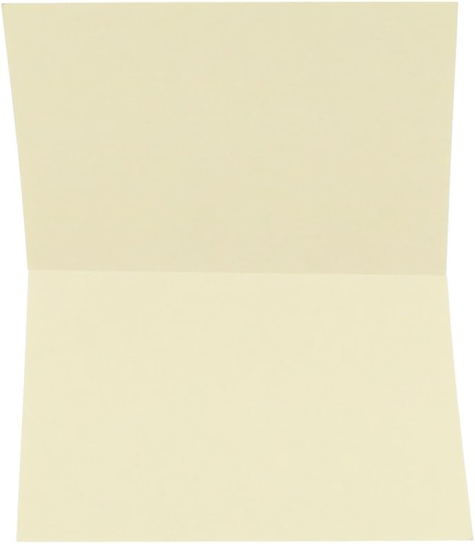 JAM PAPER Blank Fold-Over Cards 65-lb Smooth Cardstock 100/Pack