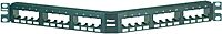Panduit CPPA24FMWBLY Angled 24-Port Flush-Mount Patch Panel, Black 1 RU Black
