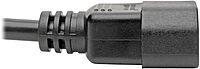TRIPP LITE Computer Power Extension Cord (C14 to C13) Locking C13, 10A 18 AWG