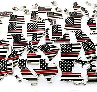 THIN BLUE LINE USA Thin Red Line State Pins