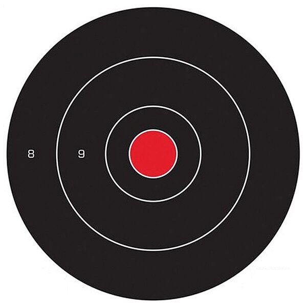 Birchwood Casey Dirty Bird Non-Adhesive Bull's-Eye Targets