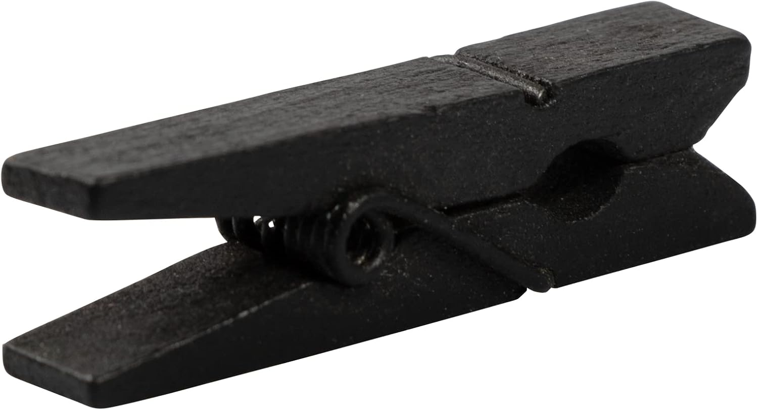 JAM PAPER Mailing Labels & Wood Clothing Pin Clips