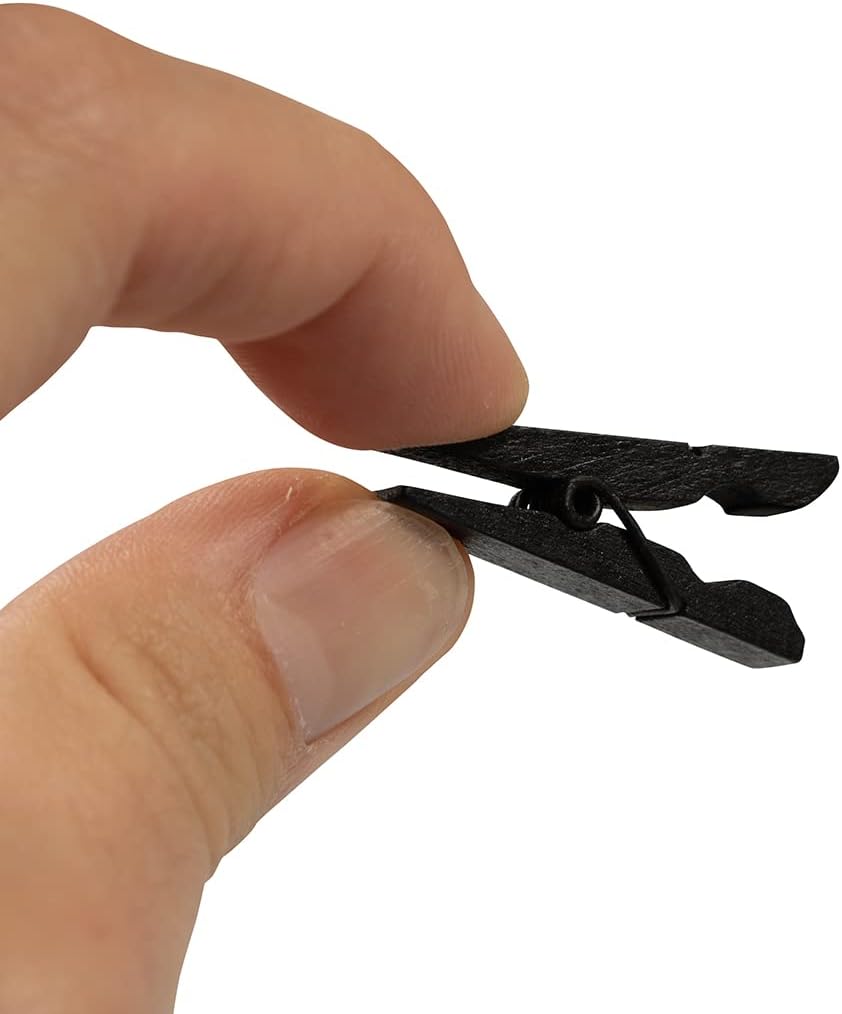 JAM PAPER Mailing Labels & Wood Clothing Pin Clips