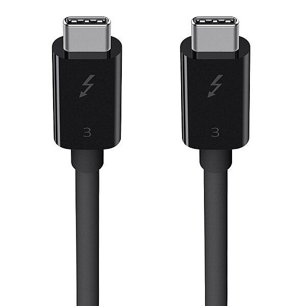 Belkin Thunderbolt 3 Cable (USB-C to USB-C), 100 Watts (1.6 Feet/0.5 Meters) - F2CD084bt0.5MBK, black 1.6 FT