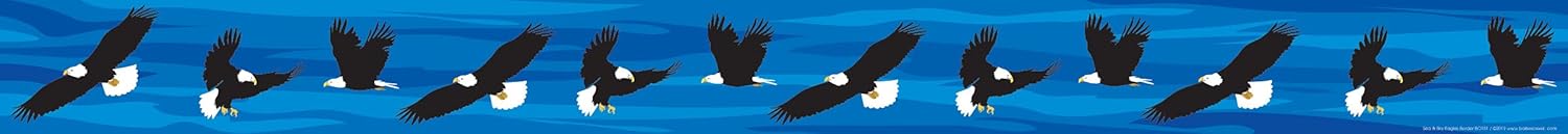 Barker Creek Double-Sided Border, Sea & Sky Eagles, Trim Out Bulletin Boards and Create Colorful Displays with 70' of