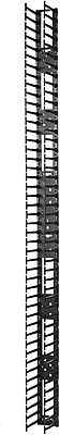APC by Schneider Electric Vertical Cable Manager for NetShelter SX 750mm Wide 48U (Qty 2)