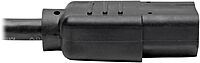 TRIPP LITE Computer Power Cord NEMA 5-15P to IEC-320-C13
