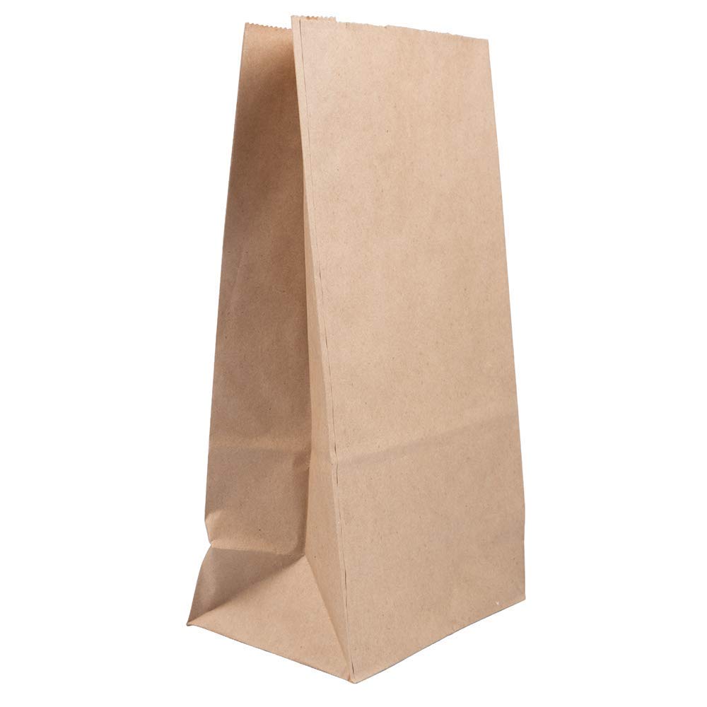 JAM PAPER 100% Recycled Kraft Snack/Lunch Bags - 25/Pack