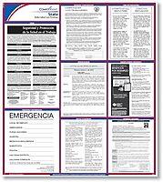 North Carolina State Labor Law Poster, 24" x 34", Laminated, (Spanish) - 1 per Pack