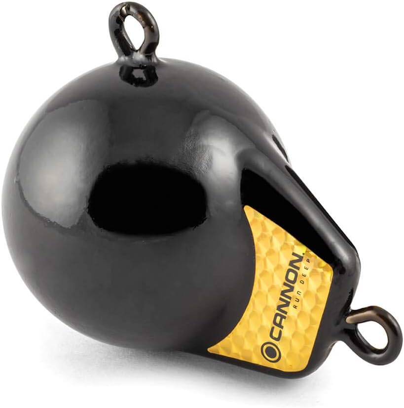 Cannon 2295180 Flash Weight, 6-Pound , Black with Gold Prism