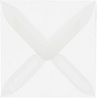 JAM PAPER Translucent Vellum Invitation Envelopes