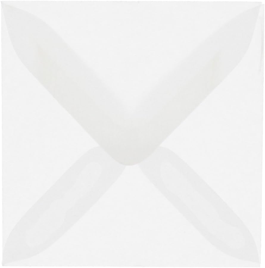 JAM PAPER Translucent Vellum Invitation Envelopes