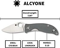 SPYDERCO Value Folding Utility Knife with CTS BD1 Stainless Steel Blade and Gray G-10 Handle, PlainEdge