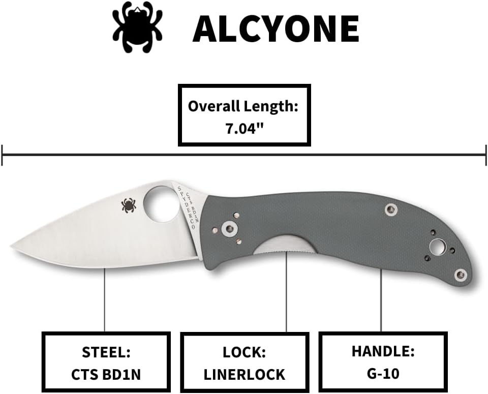 SPYDERCO Value Folding Utility Knife with CTS BD1 Stainless Steel Blade and Gray G-10 Handle, PlainEdge