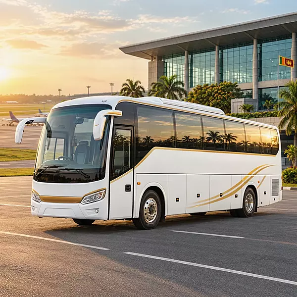 51-Seater Bus - CMB Airport to Sigiriya - One-Way Transfer